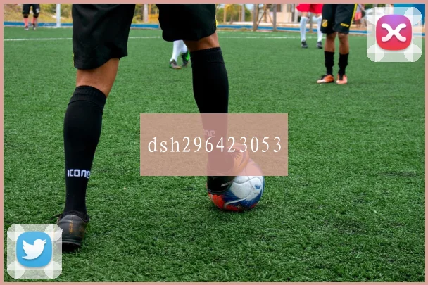 dsh296423053