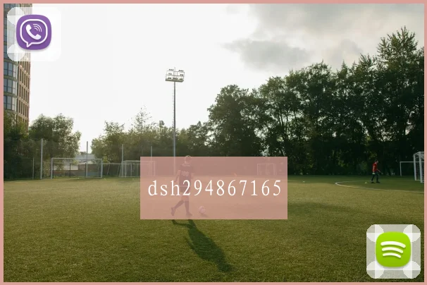 dsh294867165