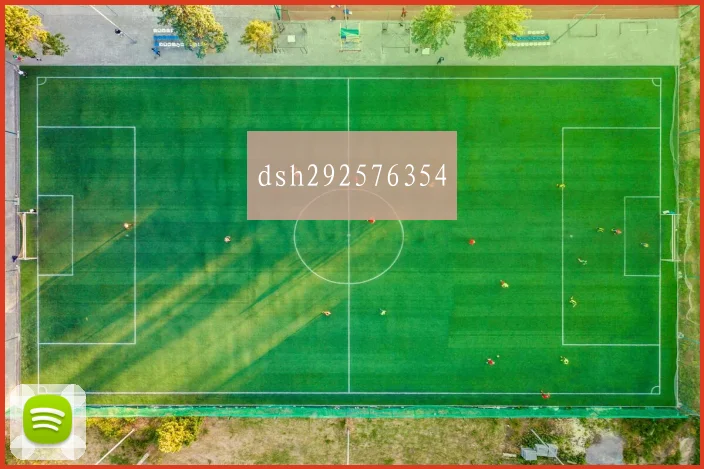 dsh292576354