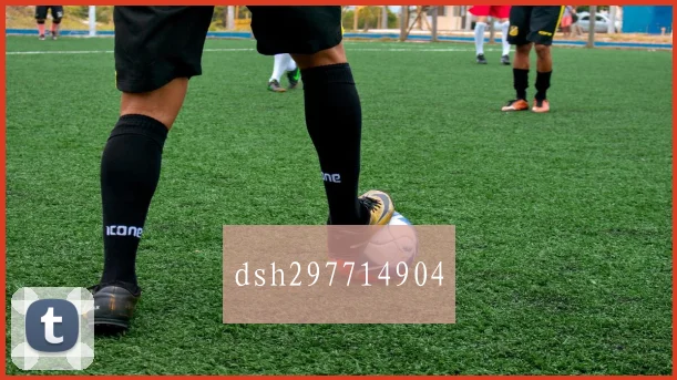 dsh297714904