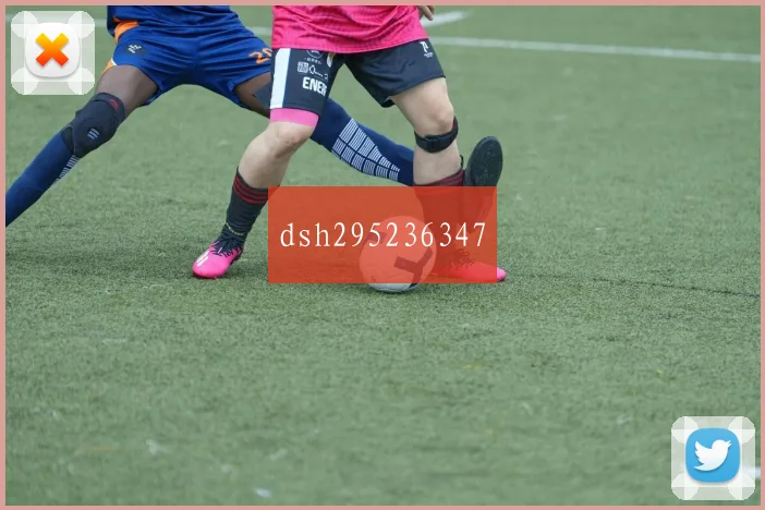 dsh295236347