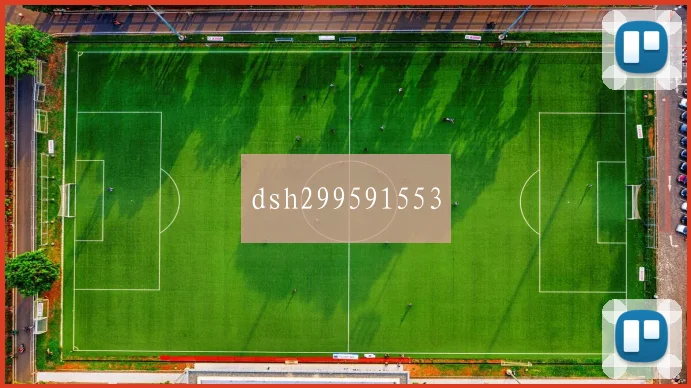 dsh299591553
