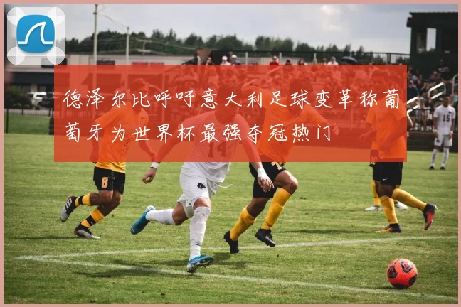 德泽尔比呼吁意大利足球变革称葡萄牙为世界杯最强夺冠热门