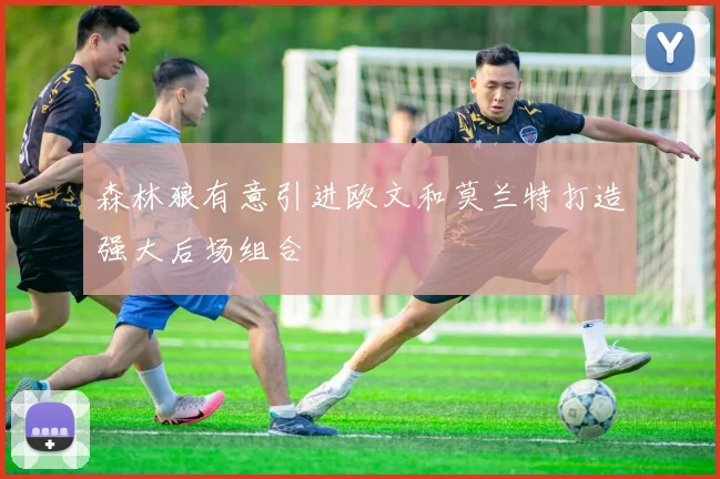 森林狼有意引进欧文和莫兰特打造强大后场组合